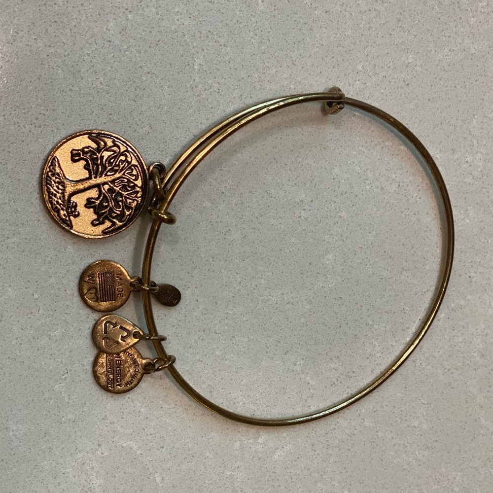 Alex and Ani Tree of Life Bracelet Bronzed Gold